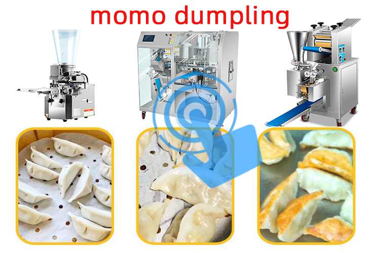 momo dumpling.jpg